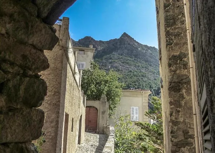 Campu Latinu アパート *